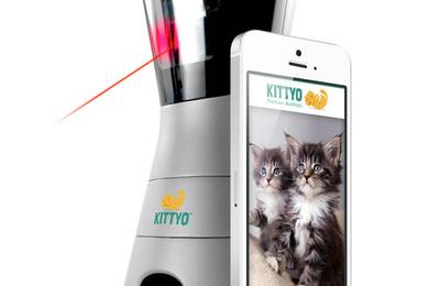 Kittyo – urządzenie umożliwiające na zabawę z kotem, nawet jeśli jesteś poza domem