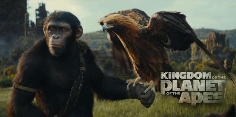 Główny bohater filmu Fot. Kadr z filmu Królestwo Planety Małp