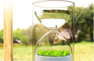 Pomysłowa roślina w szkle czyli Living Glass