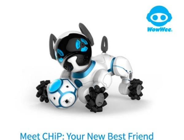 CHiP – przyjazny pies robot dla każdego