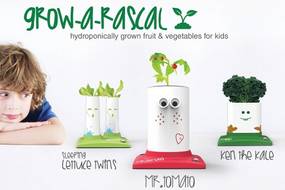 Grow a rascal – hydroponiczna hodowla dla dzieci