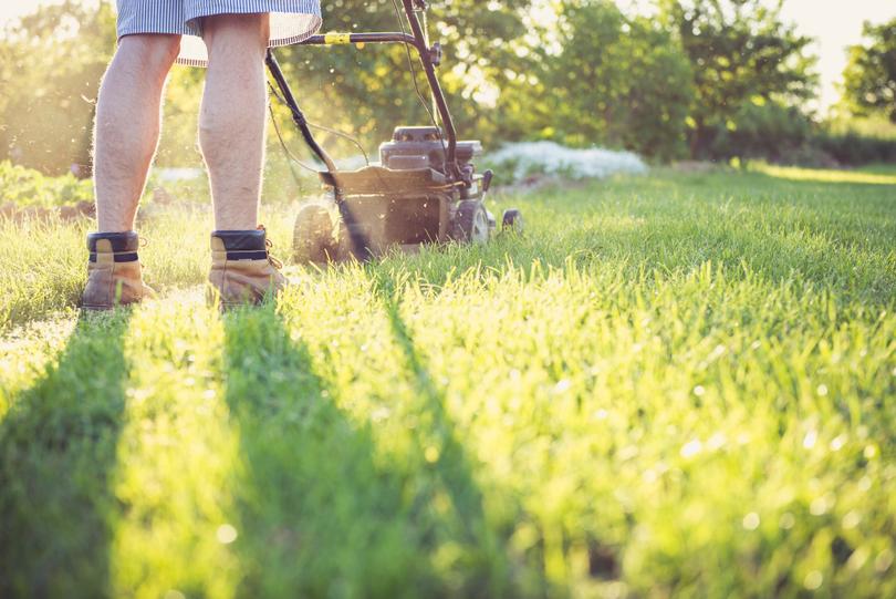 kosiarka koszenie trawy ogród urządzenia ogrodowe
