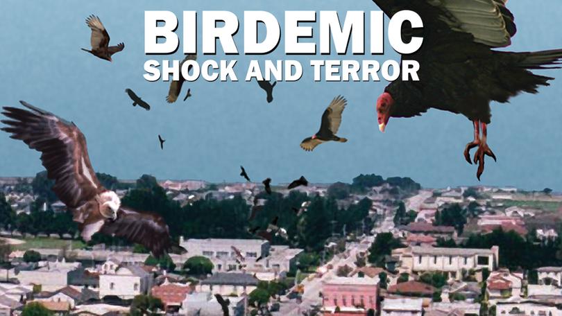 Film Birdemic