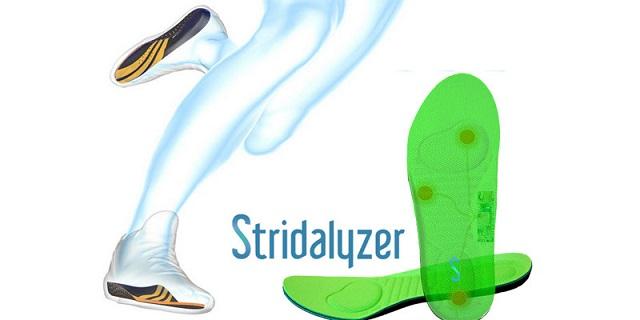 Stridalyzer
