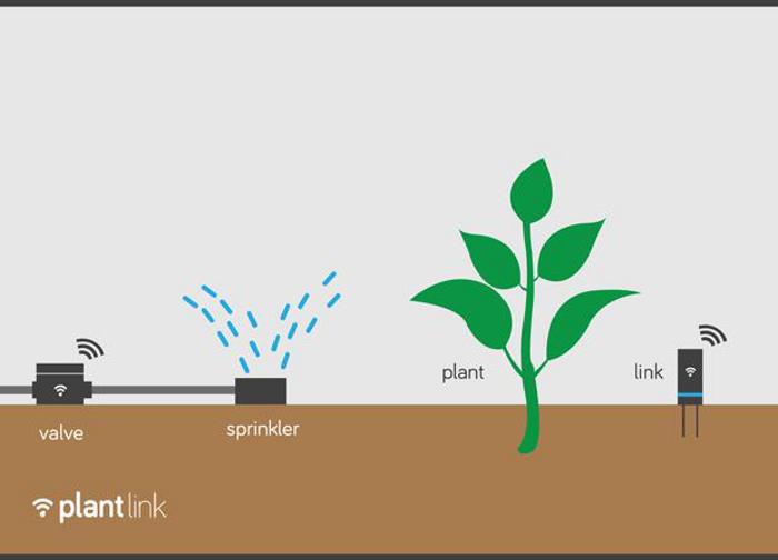 Plant Link